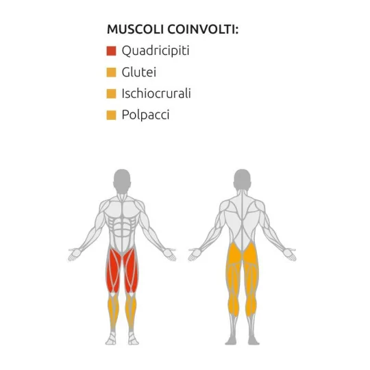Squat Lunge - Plate Loaded - Diamond