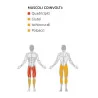 Squat Lunge - Plate Loaded - Diamond