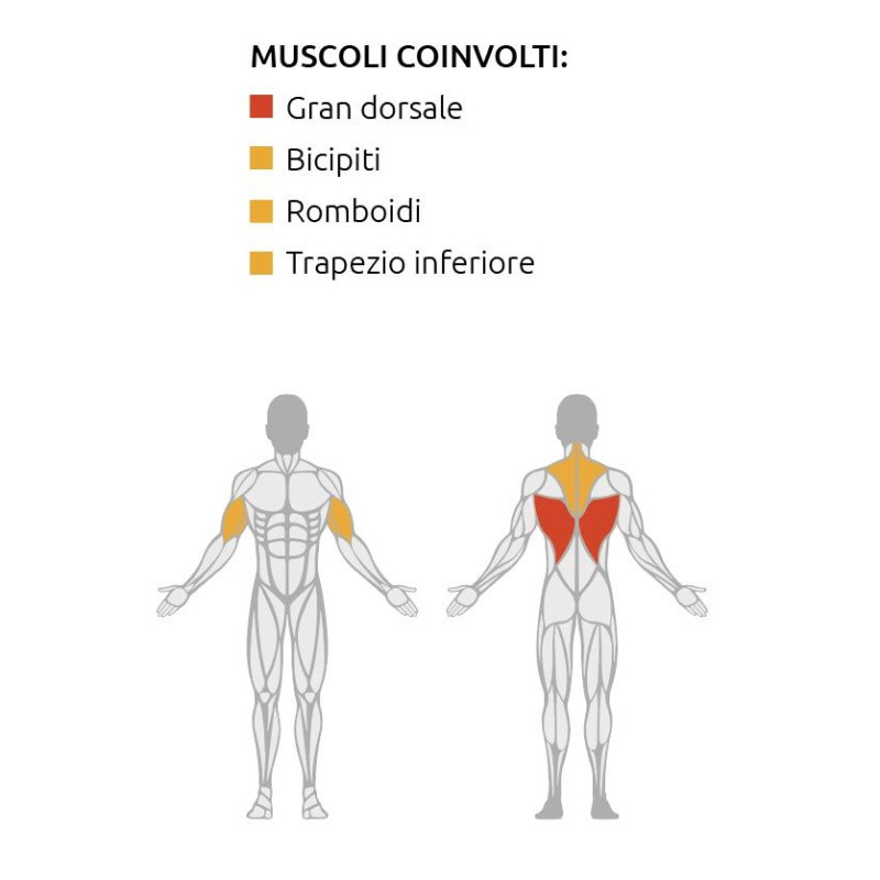 Lat Pulldown Esercizi Arti Superiori Diamond lat-pulldown-esercizi-arti-superiori-diamond