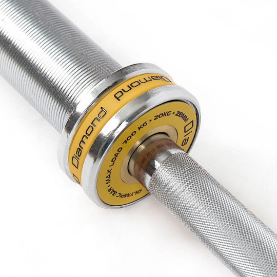 Bilanciere Olimpico Master 220 cm - carico max 700 Kg