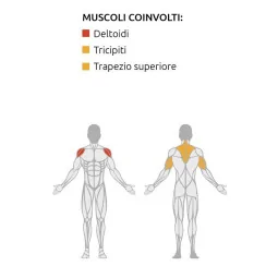 Iso Lateral Shoulder Press - Plate Loaded - Diamond