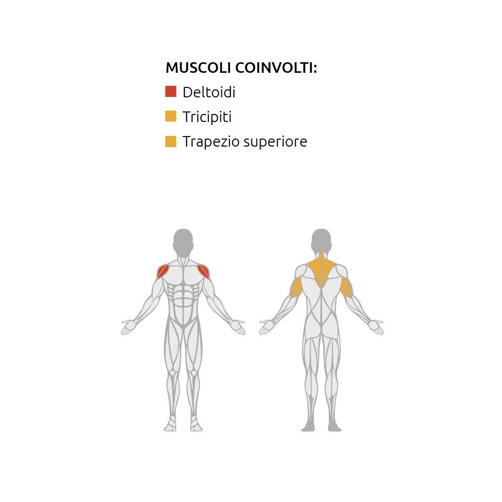Iso Lateral Shoulder Press - Plate Loaded - Diamond