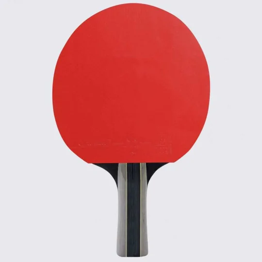 Set Racchette ping pong interno Sport Pack Duo ITTF - Cornilleau