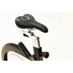 RealRyder® ABF8 Indoor Cycle