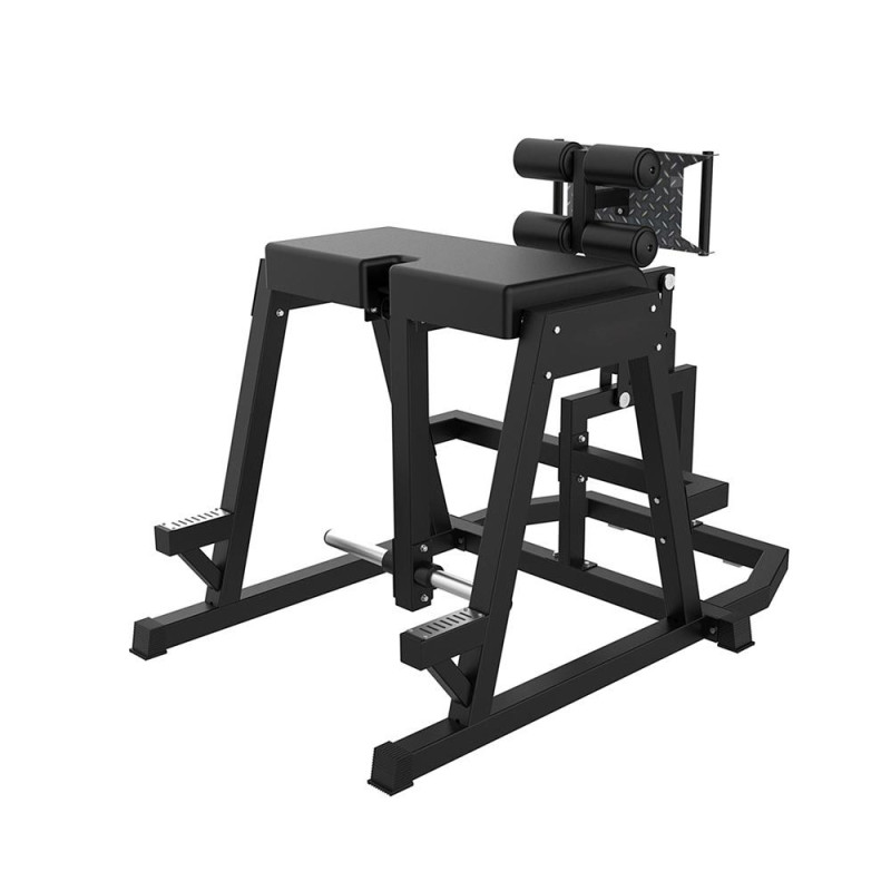 Reverse hyperextension on 2025 bench