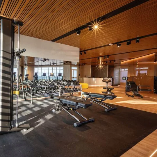Piastrella in PVC per fitness e palestre