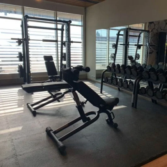 Piastrella in PVC per fitness e palestre
