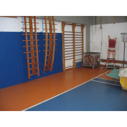 Lastra Paracolpi Pro - Spessore 4cm - Grigio
