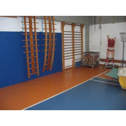 Lastra Paracolpi Pro - Spessore 4cm - Grigio