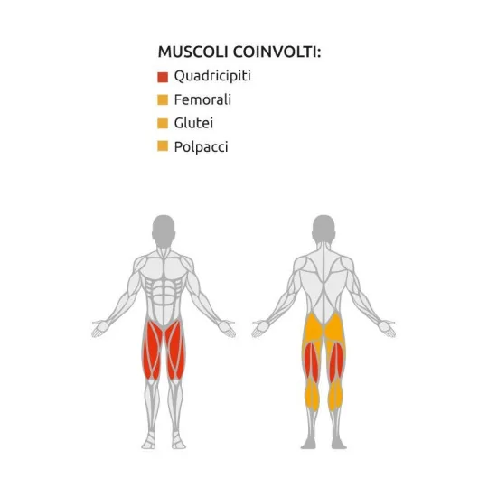 Combo Leg Curl - Leg Extension