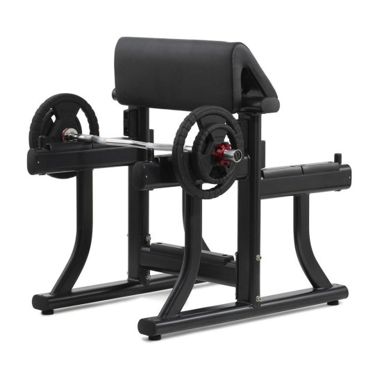 Scott Bench allenamento braccia - Diamond