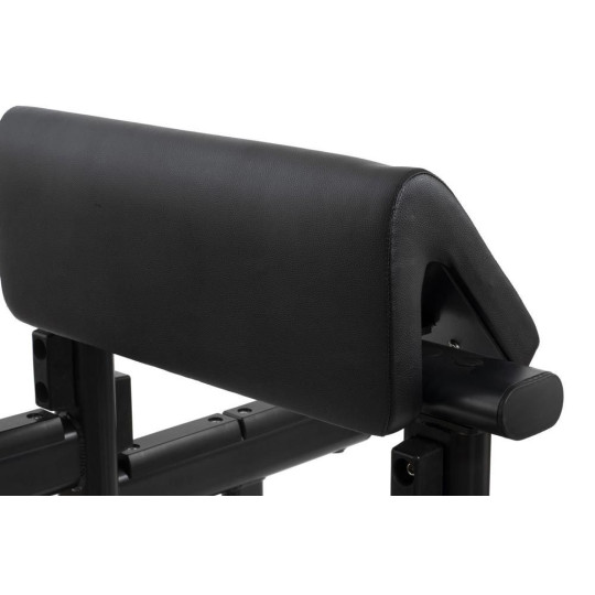 Scott Bench allenamento braccia - Diamond