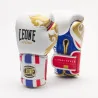 Guanti Boxe Thai Style