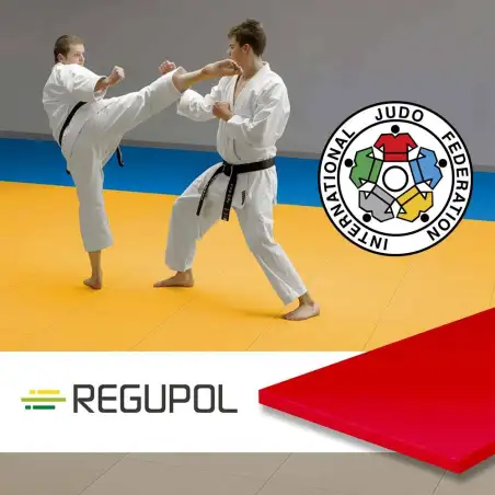 Tatami Judo Tradizionale
