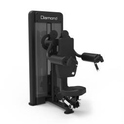 Seated Lateral Raise Serie 550 – Diamond