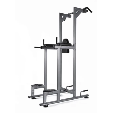 Struttura Chin/Dip/Leg raise WBX B2800