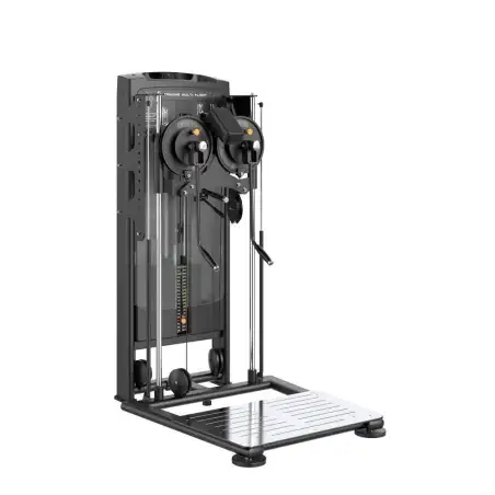 Multi flight PLX 8200