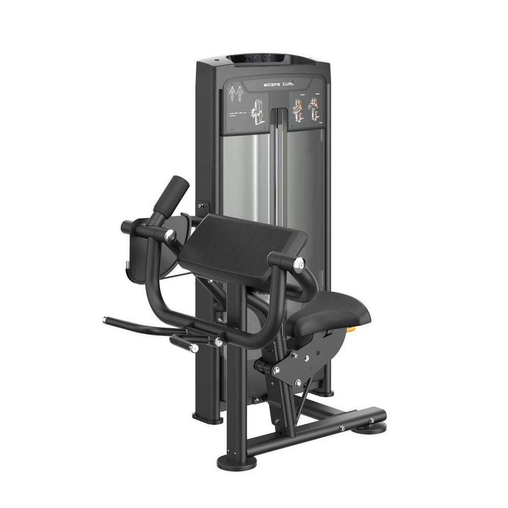 Biceps curl PLX 8600