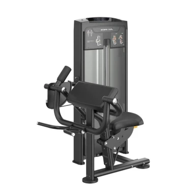 Biceps curl PLX 8600