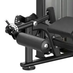 Prone leg curl PLX 8900