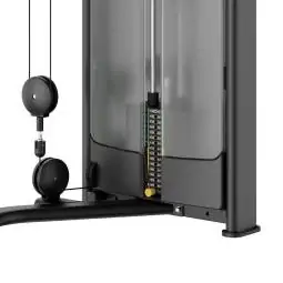 Isolateral Pectoral fly/rear deltoids PLX 9300