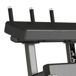 Standing Leg Curl FWX 9500