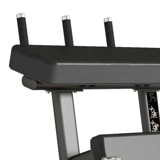 Standing Leg Curl FWX 9500