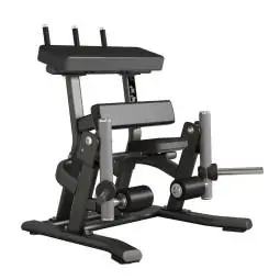 Standing Leg Curl FWX 9500