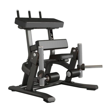 Standing Leg Curl FWX 9500