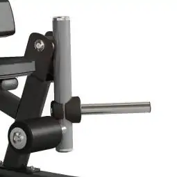 Standing Leg Curl FWX 9500
