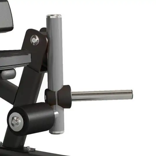 Standing Leg Curl FWX 9500