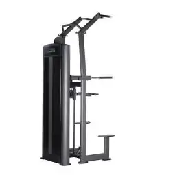 Assisted Pull Up/Chin Up/ Dip