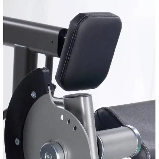 Biceps/triceps curl PLX 7700