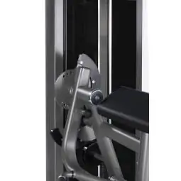 Biceps/triceps curl PLX 7700
