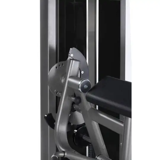 Biceps/triceps curl PLX 7700
