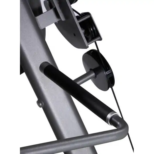 Biceps/triceps curl PLX 7700