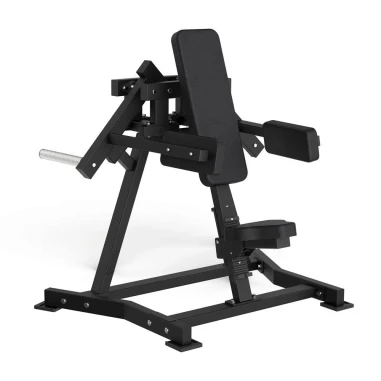 Lateral Raise FWX 6500
