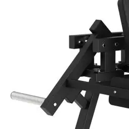 Lateral Raise FWX 6500