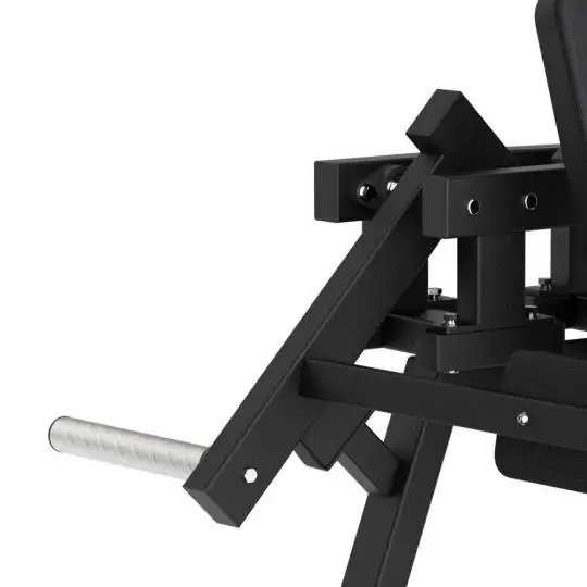 Lateral Raise FWX 6500