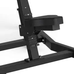 Lateral Raise FWX 6500