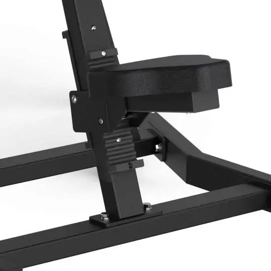 Lateral Raise FWX 6500