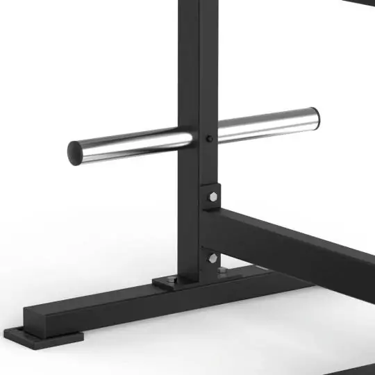 Standing Lateral Raise FWX 6550