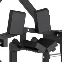 Standing Leg Curl FWX 7500