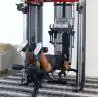 Functional Trainer FT2 - Inspire