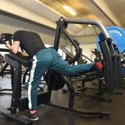 Gluteus Machine FWX 4600