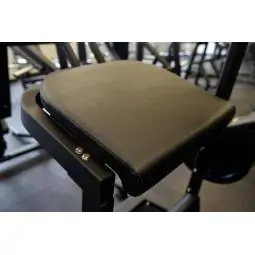 Gluteus Machine FWX 4600