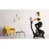 Bicicletta da camera BRX-100 HRC elettromagnetica con ricevitore wireless
