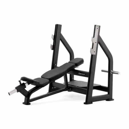 Olympic Incline Bench - Panca Inclinata - Serie 550 - Diamond
