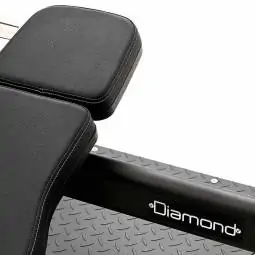 Olympic Incline Bench - Panca Inclinata - Serie 550 - Diamond