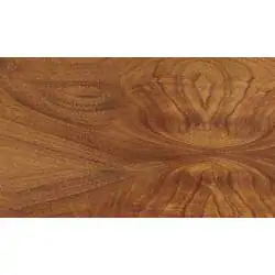 Tavolo da Biliardo Professionale Mod. AMBASSADOR con gettoniera